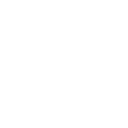 1913 Customs